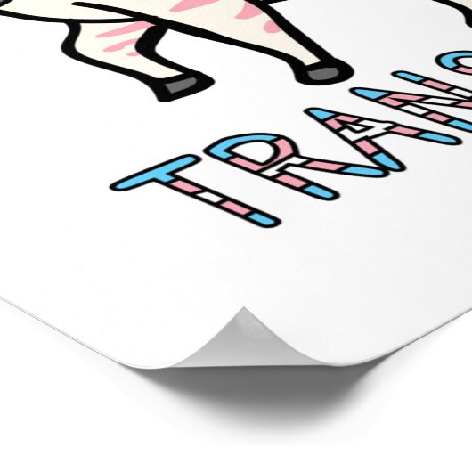 Transgender-Zebra Poster (Hoek)