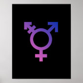 Transgendersymbool Poster (Voorkant)