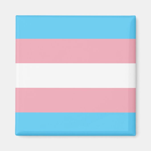Transgendervlag en -pride gemeenschap magneet (Voorkant)
