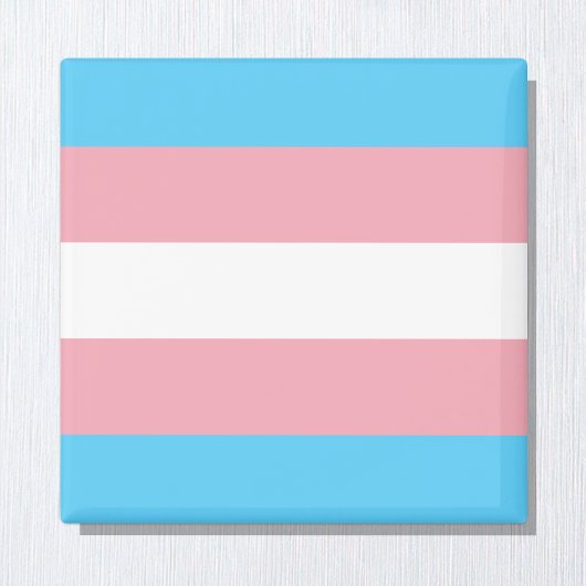 Transgendervlag en -pride gemeenschap magneet