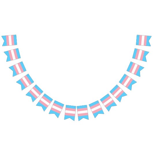 Transgendervlag en -pride gemeenschap vlaggetjes (Alle)