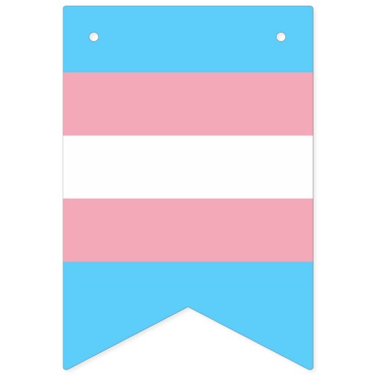 Transgendervlag en -pride gemeenschap vlaggetjes (Eerste vlag)