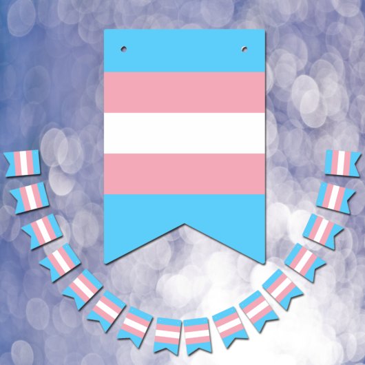 Transgendervlag en -pride gemeenschap vlaggetjes