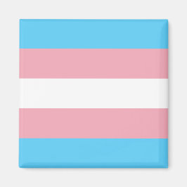 Transgendervlag Magneet