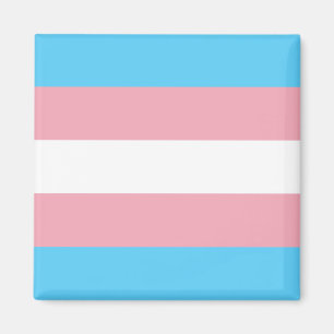 Transgendervlag Magneet