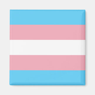 Transgendervlag Magneet
