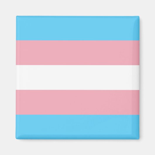 Transgendervlag Magneet (Voorkant)