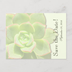 Translucent Green Succulent bewaar de datum Aankondigingskaart