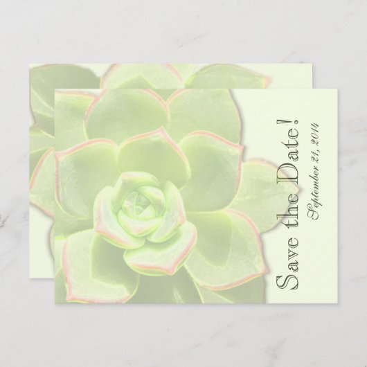 Translucent Green Succulent bewaar de datum Aankondigingskaart (Voorkant / Achterkant)