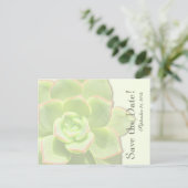 Translucent Green Succulent bewaar de datum Aankondigingskaart (Staand voorkant)