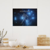 Transparant Aquarius Poster (Keuken)