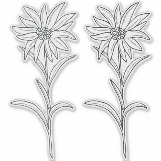 Transparant Edelweiss Sticker (Voorkant)