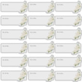 Transparant Gastadres H2 Alabaster Rozen Sticker (Voorkant)