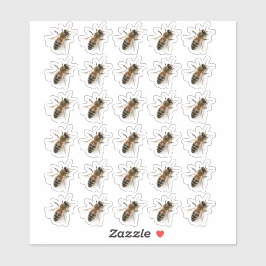 Transparant kruipend Honeybee Photo Sticker (Vel)