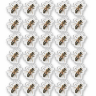 Transparant kruipend Honeybee Photo Sticker