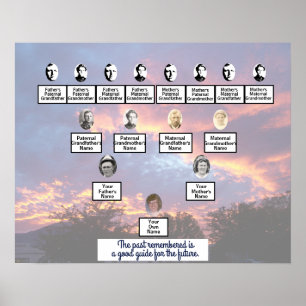 Transparant Paarse zonsondergang Foto Family Tree  Poster