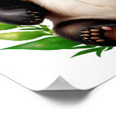 Transparant Panda Beer met bloemen Poster (Hoek)