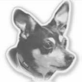 Transparant Ruby Sticker!! Sticker (Voorkant)