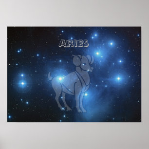 Transparante Aries Poster