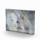 Transparante bekleding van Afbeelding Zwan Acrylfo Fotoblokken (Rechts)