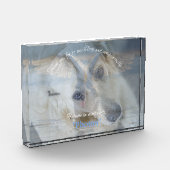 Transparante bekleding van Afbeelding Zwan Acrylfo Fotoblokken (Links)