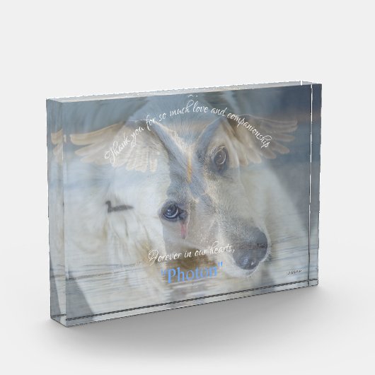 Transparante bekleding van Afbeelding Zwan Acrylfo Fotoblokken (Links)