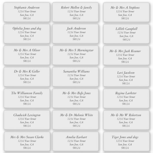 Transparante gewone Adresetiketten Sticker (Voorkant)
