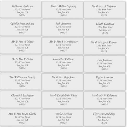 Transparante gewone Adresetiketten Sticker (Voorkant)