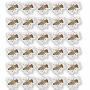 Transparante kruipende Honeybees Realistisch ticke Sticker