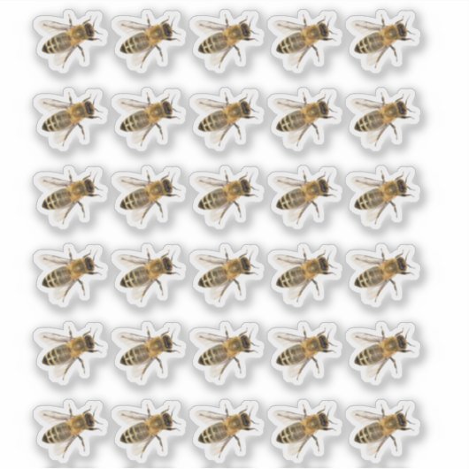Transparante kruipende Honeybees Realistisch ticke Sticker (Voorkant)