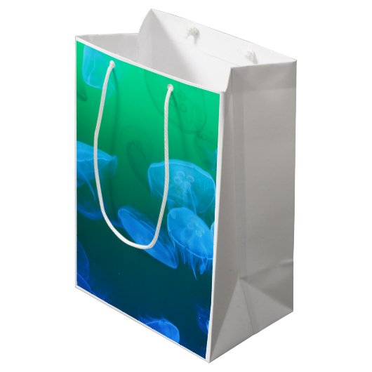 Transparante kwallen medium cadeauzakje (Voorkant Gekanteld)