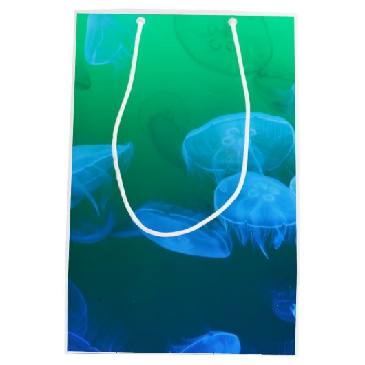 Transparante kwallen medium cadeauzakje (Achterkant)