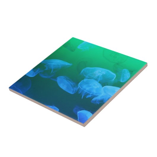 Transparante kwallen tegeltje (Zijkant)