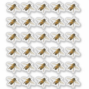 Transparante of witte realistische Honingbij in de Sticker