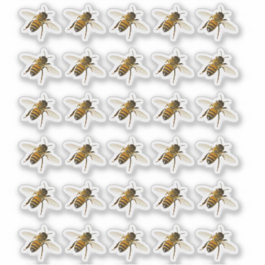 Transparante of witte realistische Honingbij in de Sticker (Voorkant)