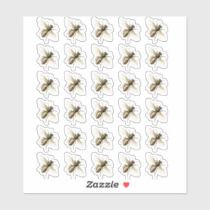 Transparante of witte Vintage Honeybee Stickers