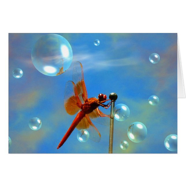 Transparante rode dragonfly (Voorkant Horizontaal)