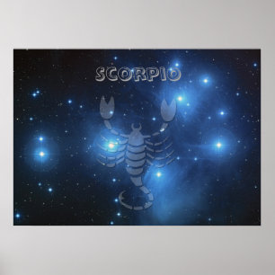 Transparante Scorpio Poster