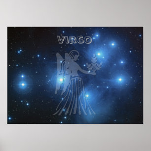 Transparante virgo poster
