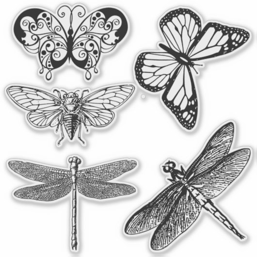 Transparante vliegende insecten stickers (Voorkant)