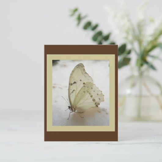Transparante vlinder Briefkaart (Staand voorkant)