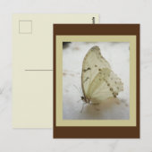 Transparante vlinder Briefkaart (Voorkant / Achterkant)