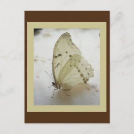 Transparante vlinder Briefkaart