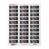 Transparante zijde Elegant retour adres label (Full Sheet)