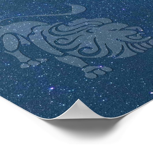 Transparent Gemini Poster (Hoek)