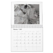 transplantatie kalender (Feb 2027)