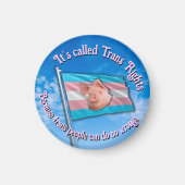 transrechtenmagneet magneet (Voorkant)