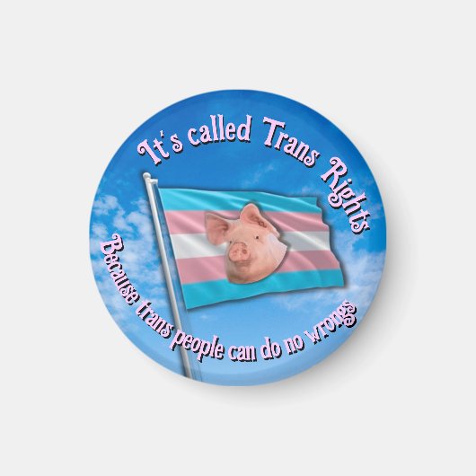 transrechtenmagneet magneet (Voorkant)