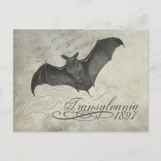 Transsylvanië 1897 Bat Collage Post Card Halloween Briefkaart (Voorkant)
