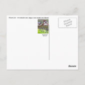 Transsylvanië, Roemenië, schilderachtig schildpad Briefkaart (Achterkant)